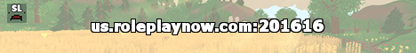 Server Banner Image