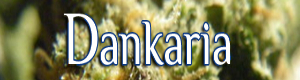 Server Banner Image
